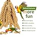 2LB Millet Spray for Birds Parakeets Treats - All Natural Sun-Dried Spray Millet for Parakeets, Cockatiel, Budgie, Finches, Parrots, Hamster, 100% Non GMO Dried Fresh Bird Seed