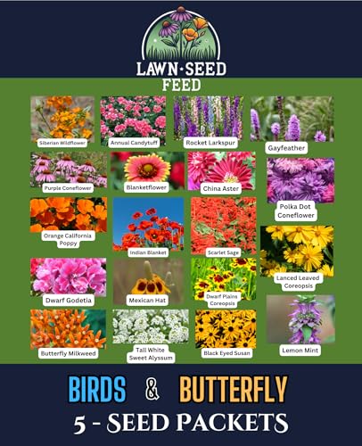 Partial Shade Wildflower Mix - (Seed Packet) - Bring Color to Low-Light Areas That Thrive with Dappled Sun, producing Vibrant Blooms in Yards, Garden beds, Fence Lines, and Woodland Edges.