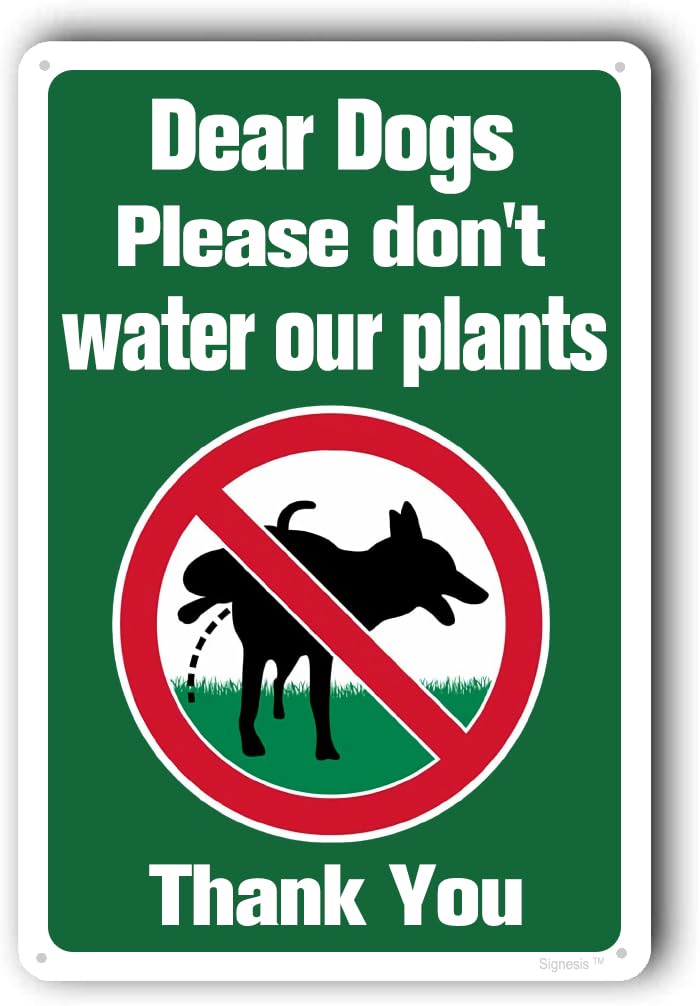 Funny Yard Sign, Keep Off Grass Sign, Keep Dog Out Of Yard, No Peeing Dog Signs For Yard "Dear Dogs Please Don't Water Our Plants" Metal Aluminum Sign 8x12 Inch