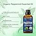 Organic Peppermint Essential Oil 30 ml - Pure, Natural Oils for Aromatherapy, Diffusers, DIY, Candle and Soap Making Scent - Nexon Botanics