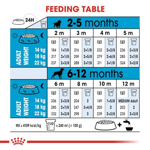 Royal Canin Medium Junior Trockennahrung für Hunde