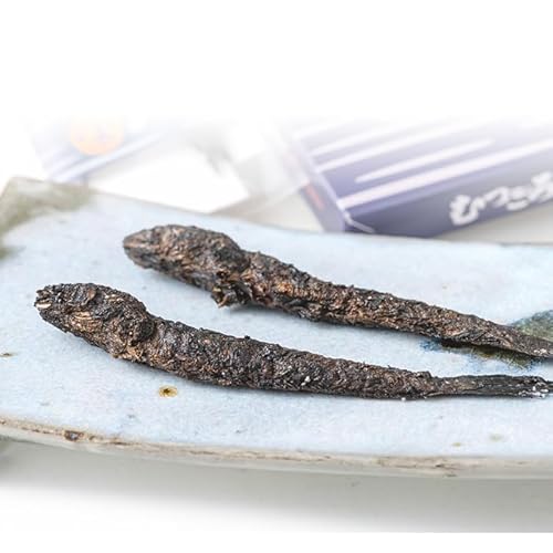 佐賀県鹿島市産 有明海 丸干しむつごろう 2本入り×5袋セット