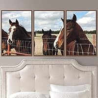 3 Piece Framed Canvas Wall Art Horsing Around Animals Farmhouse/Country Fun Horse Living Room - 16