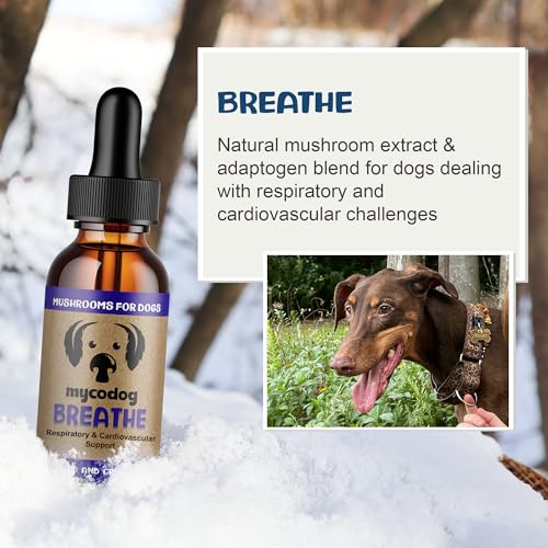 Image of MycoDog Breathe Dog Allergy Relief Drops 2 fl. oz.: Mushroom Extracts & Ashwagandha Tincture | Respiratory Support Itch Relief for Dogs | Chaga & Reishi Mushroom Blend