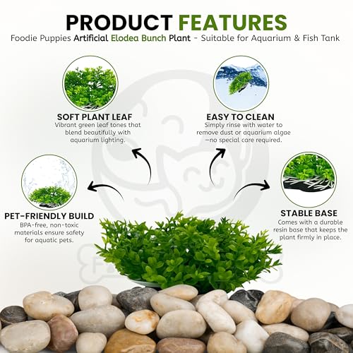 Image of Foodie Puppies Aquarium Plastic Plants with Resin Base - (Elodea Bunch Plant, Set of 2, 5 x 4 x 4 cm) for Fish Tank, Freshwater & Saltwater Natural Decor