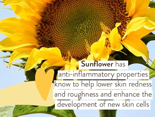 Babo Botanicals Swim & Sport Mineral Sunscreen Spray Spf 30 With Natural Zinc Oxide - For Face & Body Of All Ages - Dermatologist Tested & Cruelty-Free - Fragrance-Free & Water Resistant - 2 Oz #TOP7