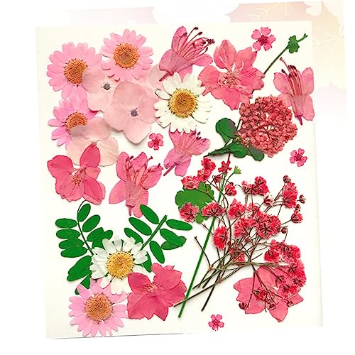 30 pcs Materiales para DIY Flores Presionadas Reales miniatura 3