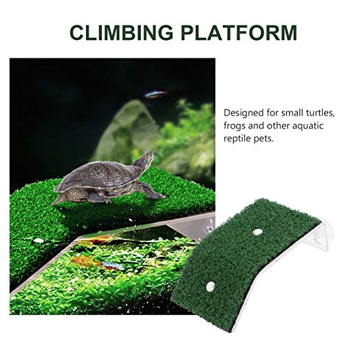 ibasenice Ramp- Plataforma Plataforma de Secagem Simulado Gramado Paisagismo Tartaruga Tartaruga Tar