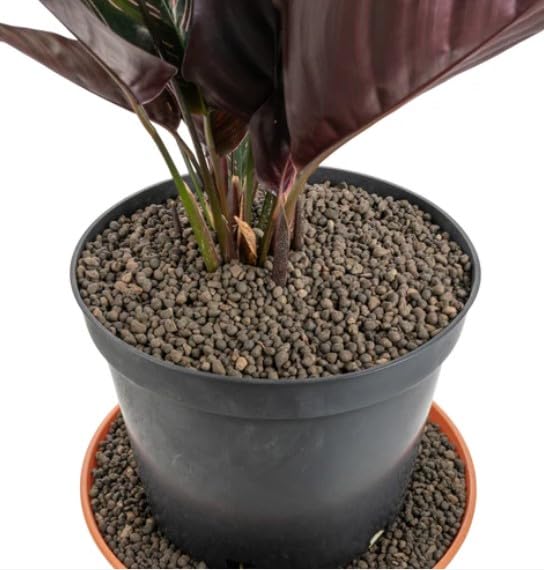 30Liter Grade 1mm-4mm Clay Pebbles, Hydroton or LECA-Lightweight Expanded Clay Aggregate, Heated Clay - used in hydroponic systems, aquaponics, and as a growing medium for plants.