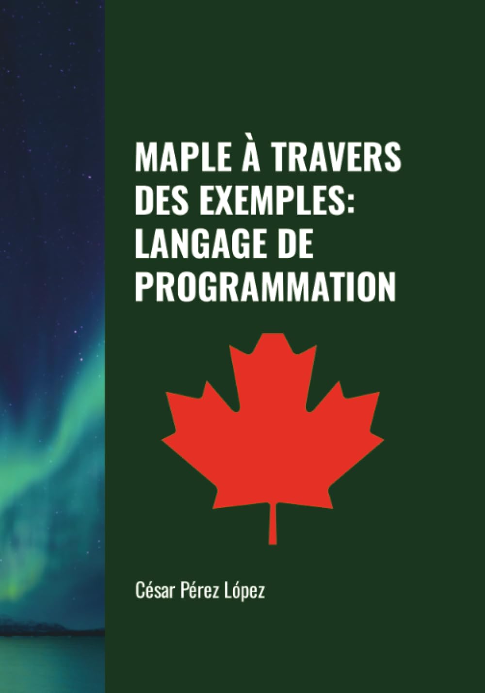 MAPLE À TRAVERS DES EXEMPLES: LANGAGE DE PROGRAMMATION