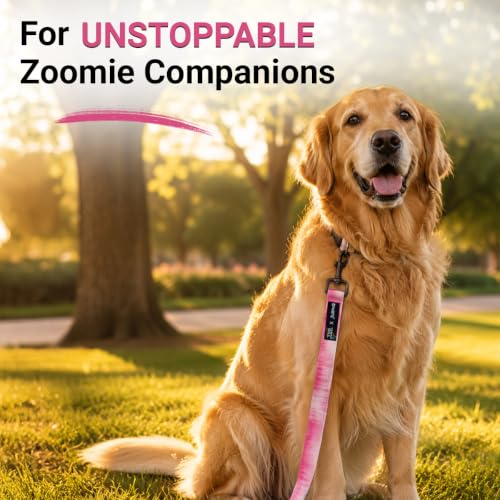 Image of Bowlers Everyday Dog Leash | GULABO Poly Pet Leash with Stickers | Durable Dog Walking Lead with Strong Metal Hook | Comfortable Grip for Small, Medium & Large Dogs