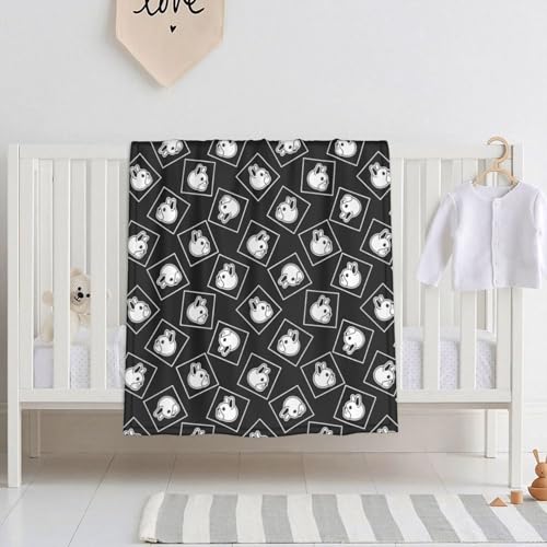 xr[ѕz  {XgeA r[uuPbg |ѕz  uPbg ^IPbg ʋC q ۈ牀 [΍ GARpi lGʗp ?蕨 76X102cm