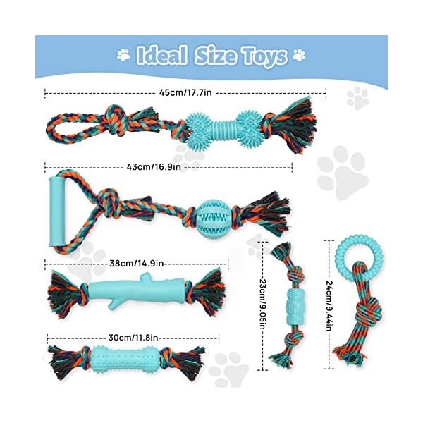 6 Pack Teething Puppy Toys