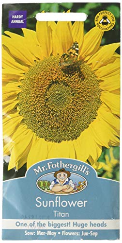 Mr Fothergill's 19802 Flower Seeds, Sunflower Titan, Yellow