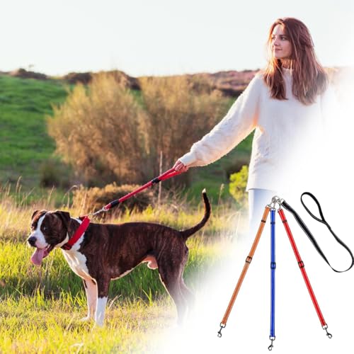 Generisch Dreifach-Hundeleine für 1-3 Hunde