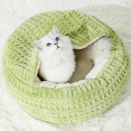 JUIKNHSM Lxbh ^ Lk^ ybgnEX ~p ۉ h  ӂӂ ѕzf   _e ~ߖh Lp 􂦂 p(O[,L)