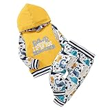 Toddler Infant Baby Boy Girls Clothes Dinosaur Long Sleeve Hoodies Top Pants Sweatsuit Fall Winter O