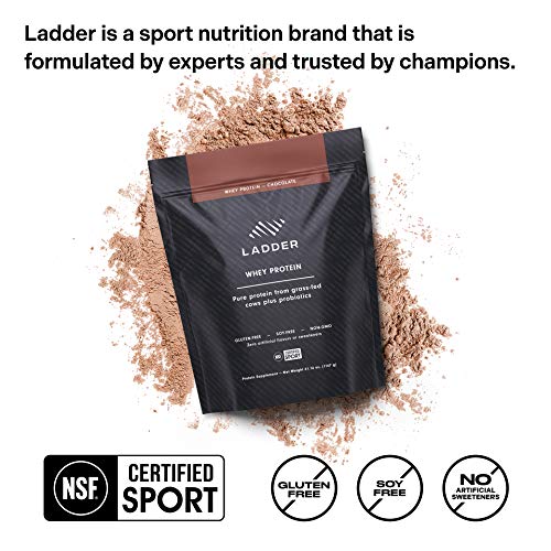 LADDER Sport Whey Protein Powder - 26g Protein, 7g BCAAs, 14g EAAs, 2 Billion CFU Probiotics, No Artificial Sweeteners, NSF Certified for Sport, formulated for Lebron James (Chocolate)
