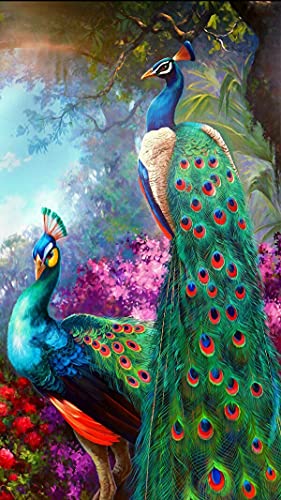 Kits DIY 5d Diamant Peinture Paon Forêt : Point de Croix Strass Salon 80x180