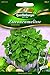 Produktbild Zitronenmelisse Citronella - Melissa officinalis QLB Premium Saatgut sonstige Kräuter