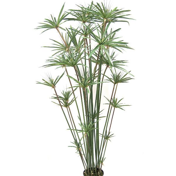 6' Papyrus Grass Silk Plant w/Pot -Green