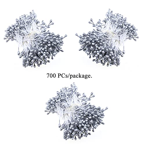 Hahiyo 700Pcs 3Mm Silver Pearl Double Heads Flower Stamen Pistil Hand-Made Artificial Flower Pistil Para Flores Pearlized Floral Stamen Flower Pollens Stamen For Flower Making Scrapbook Decoration #TOP5