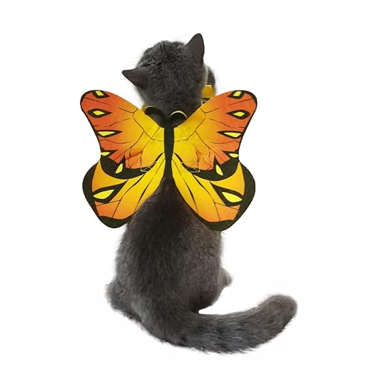 Pet Cat Bat Wings for Halloween Party Decoration, Puppy Collar Leads Cosplay Bat Costume,Cute Puppy Cat Dress Up Accessories
