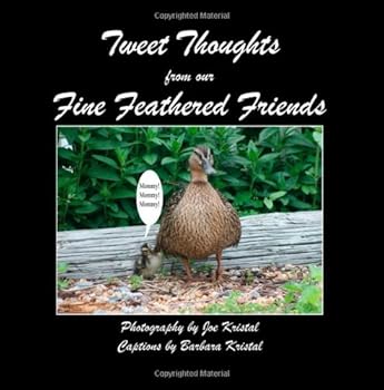 Tweet Thoughts From Our Fine Feathered Friends