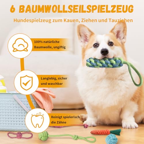 SUNFATT Hundespielzeug kleine Hunde,10 Stück Welpenspielzeug für kleine Hunde,Quietschspielzeug und Kauspielzeug Hundespielzeug Set,Waschbares Natürlicher Baumwolle & Ungiftig