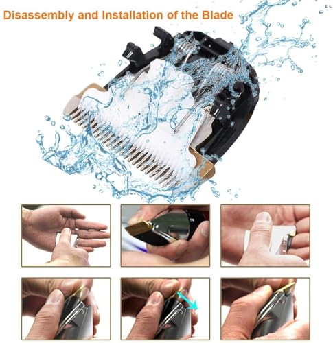 Image of Dipoo Self Cleaning Shedding Brush, Skin Friendly Grooming Tool for Dogs, Cats, Puppies, Deshedding and Hair Removal for Long and Short Haired Pets, Black (Pack of 1)