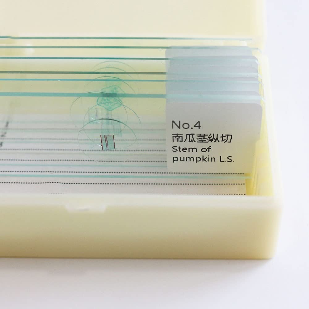Kit di accessori per microscopio Vetrini for campioni di microscopio da 10 pezzi / 20 pezzi for l'educazione alla biologia scientifica del laboratorio di base degli studenti Vetrini per microscopio(10