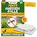 Produktbild GREEN GUARDIA Ameisen-Falle mit Spezial-Lockstoff  6X Fallen - zur unauffälligen & umweltfreundlichen Überwachung von Ameisenaktivität. Chemiefrei, geruchsneutral und mit starker Klebefläche.