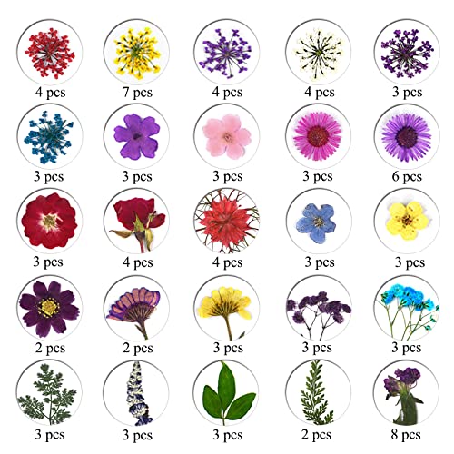 Flores prensadas secas naturales para manualidades miniatura 5