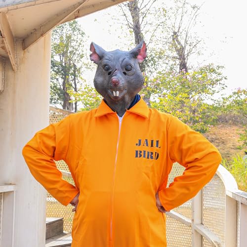 Photo complémentaire