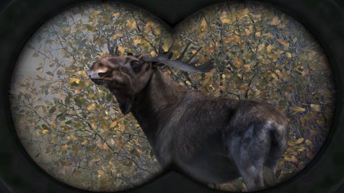 Image of Cabelas: Big Game Hunter Pro Hunts - PlayStation 3 (Renewed)