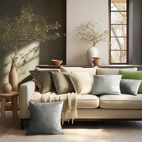 Phantoscope Pack of 2 Velvet Decorative Throw Decorative Pillow Cover Soft Solid Square Cushion Case for Couch Mist Grey 12 x 20 inches 30 x 50 cm