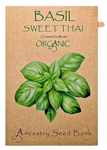 Organic Basil ❁ Sweet Thai ❁ x200 Seeds Heirloom Herb - Non GMO