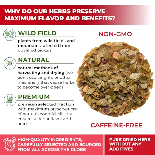 Image of 30 Bags Uva Ursi Leaf Uva Ursi Tea Herbal (Arctostaphylos Uva-Ursi) - 30 Count 1.5g Tea Bags Ursa Bag Uva-Ursi Herb Arctostaphylos Uva-Ursi