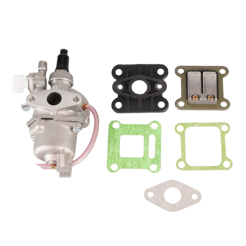 Kit De Carburateur 47cc/49cc Convient pour Mini Motos, Motocross, Quads, Vtt Et Karts, Avec Filtre À Air, Reed CLAPET BOITE POUR
