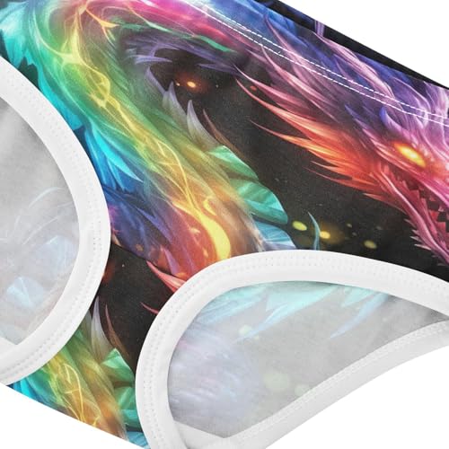 Color Flame Dragon Toddler Girls's Underwear 2T 202a05404