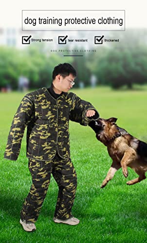 Détails costume d'entraînement chien