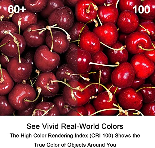 Gy6.35 Halogen Light Bulbs 2 Pin 12V 35W T4 Tubular Jcd Type Gy6.35 Bi-Pin Base Dimmable 2700K Warm White Capsule Bulbs For Pendant Light, Ceiling Lights, Table Light, Cabinet Lights (10 Pack) #TOP4