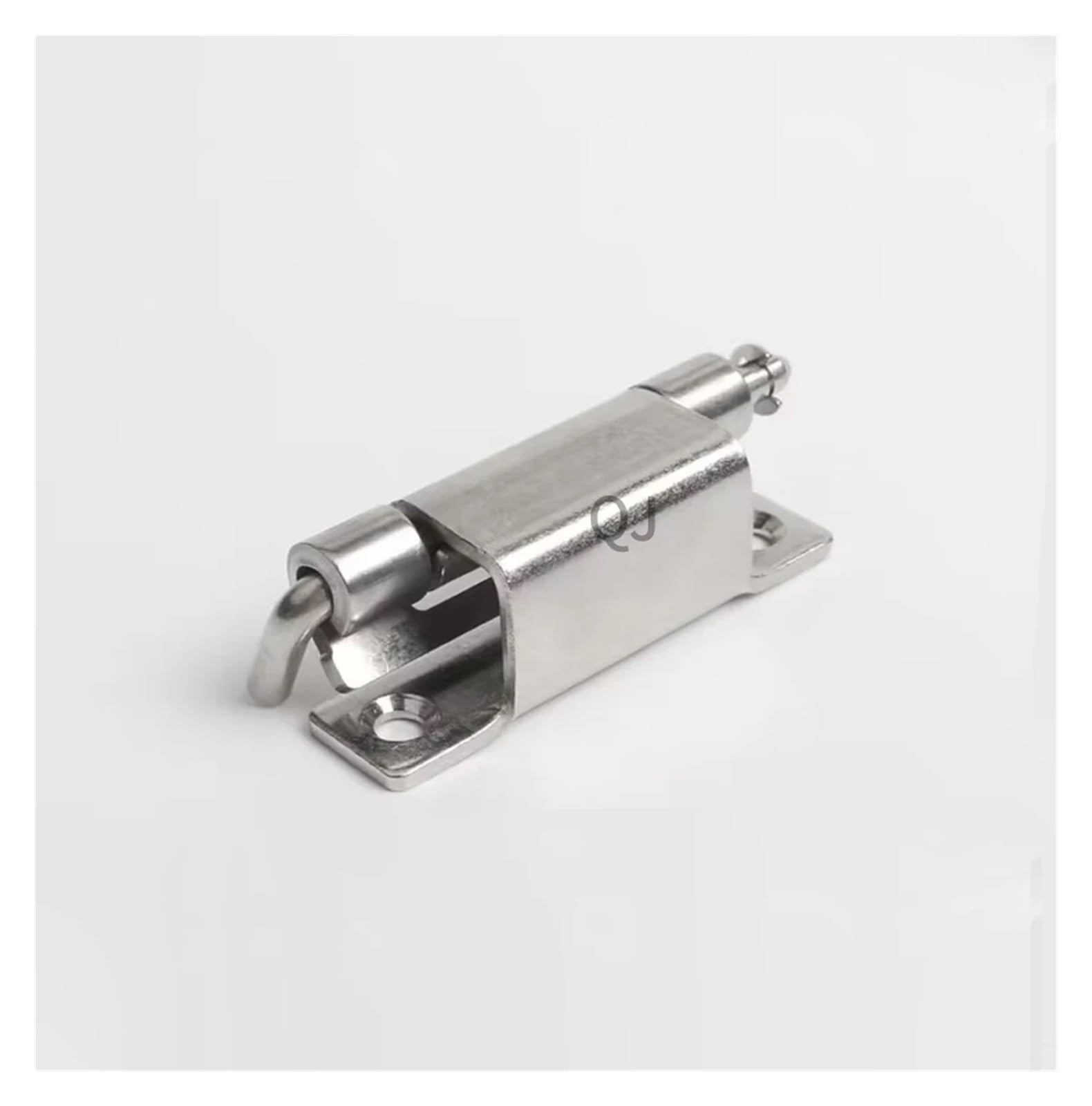 Boîte électrique protégée de l'humidité avec la charnière inox cachée CL275-2