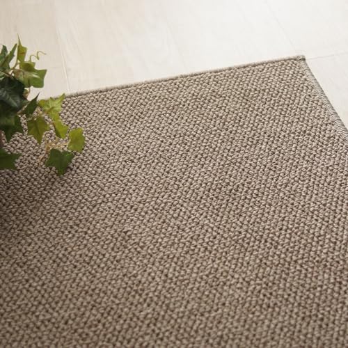 OX^C I[_[J[ybg 1cmPʂŃJbgH h_j h { Y 260x220cm AbV