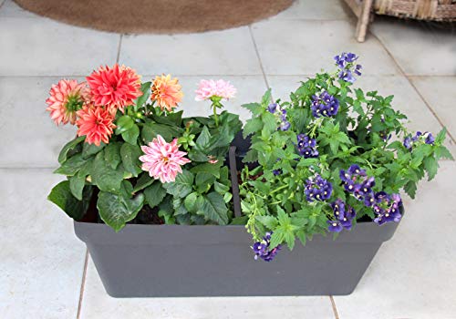 Tabor Tools Plastic Window Box Planter With Drainage Plug For Indoor And Outdoor Use, 15 1/2 Inch Long Rectangular Trough Planter. Ver603A. (Brown) #TOP4