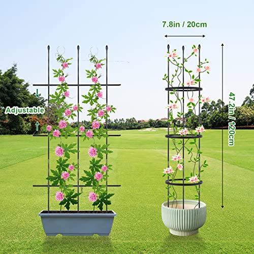 2 Pack Garden Trellis Tomato Cages, 2 In 1 Plant Trellis For Climbing Plants Indoor Outdoor, Plant Cages Plant Stake For Flower, Vegetable, Vines, Plant Trellis For Potted Plants #TOP2