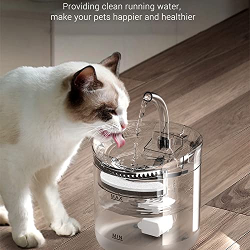 Fuente de agua automática para mascotas 2L transparente miniatura 4