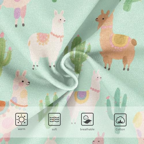 Brief Panties All Seasons Panties Comfort Color for Girls in Sizes 2T,3T, 4T, 5T, 6Y and 8Y3