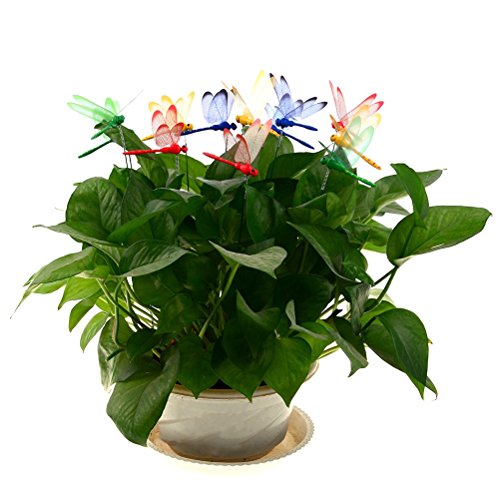 Datingday 12 Pack 3D Garden Dragonfly Stakes With Sticks Dragonfly Planter Miniature Fairy Garden Decoration,Small #TOP1