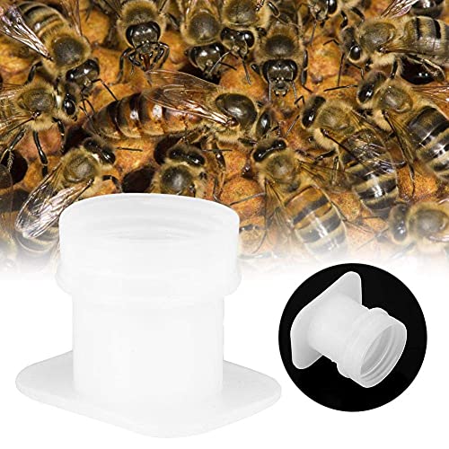 Andraw Bee Water Feeder, Bee Waterer, Plastic 10PCS for Bee bee Farm Household Garden for Beekeepers